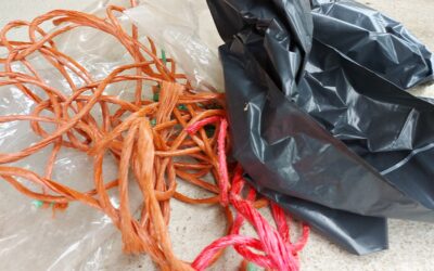 Collecte de printemps des plastiques agricoles usagés