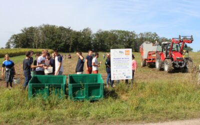 Nouvelle édition des Patates Solidaires
