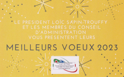 Meilleurs vœux 2023