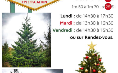 Vente de sapins de Noël au Lycée Agricole d’Ahun