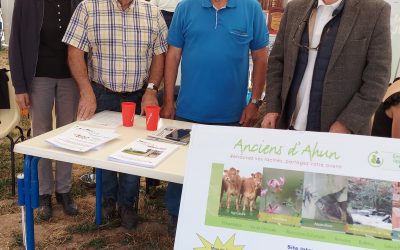 L’Amicale présente à Terres en Fête