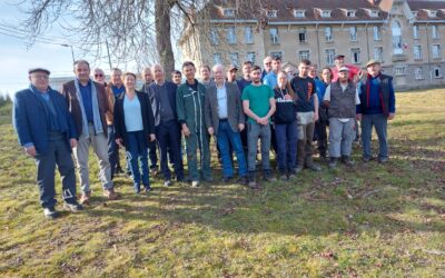 Plantation originale d’arbres d’ornement