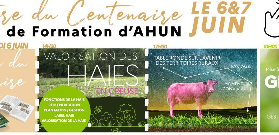 Bulletin de participation à télécharger