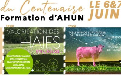 Bulletin de participation à télécharger