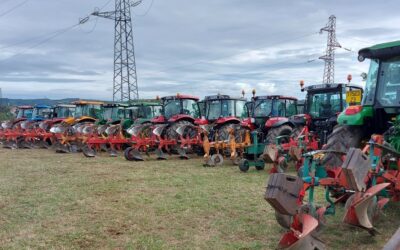 Rencontres pluvieuses à Terre en Fête 2025