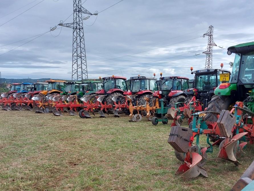 Rencontres pluvieuses à Terre en Fête 2025